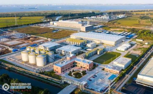 加速推進(jìn) 張家港保稅區(qū)勝牌 張家港 潤(rùn)滑油 開(kāi)米科思新型環(huán)保制冷材料項(xiàng)目?jī)纱箜?xiàng)目蓄勢(shì)待發(fā)