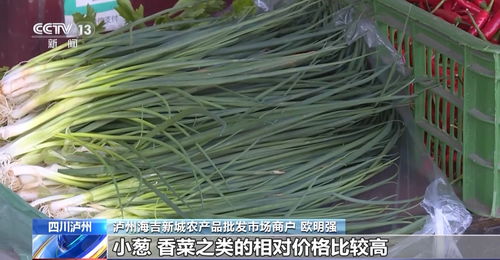 高溫炙烤下的民生守護 四川多地延期開學(xué)，全力保障農(nóng)產(chǎn)品供應(yīng)